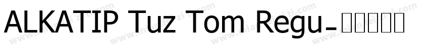 ALKATIP Tuz Tom Regu字体转换